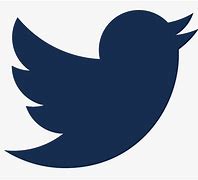 Image result for Twitter Blue Logo