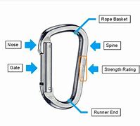 Image result for Climbing Carabiner Types