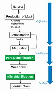 Image result for White Wine Filtration