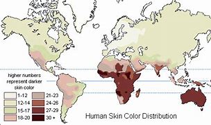 Image result for Geographical Differences in Melanin