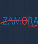 Image result for Zamora Entertainment Inc