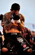 Image result for MMA Fighting in the UFC