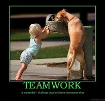 Image result for Funny Animal Teamwork Quotes