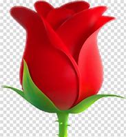 Image result for Flower Emoticon Copy and Paste