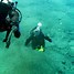 Image result for Underwater Diving