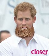 Image result for Prince Harry's Beard