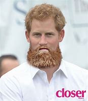 Image result for Prince Harry Comedian Beard