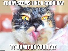 Image result for Cat Vomiting Meme
