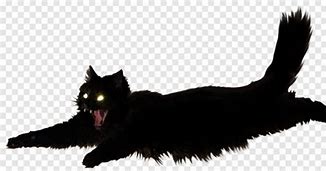 Image result for Meme Cat Vector