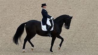 Image result for Paris Olympic Dressage