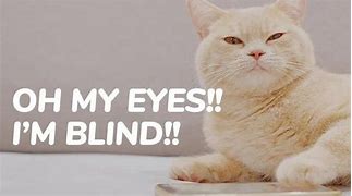 Image result for OH My Eyes Meme