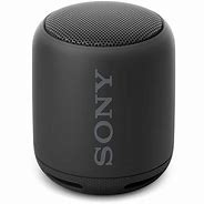 Image result for Sony Bluetooth Wireless Speaker