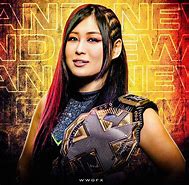 Image result for WWE NXT Wrestlers