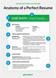 Image result for How Does a CV Look Like