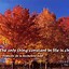 Image result for Cute Autumn Quotes
