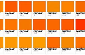 Image result for iPhone 14 Color Ways