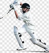 Image result for No Copyright Cricket Images