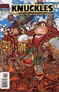 Image result for Knuckles the Echidna Fighting