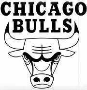 Image result for Chicago Bulls Logo White