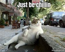 Image result for Nothing Jus Chillin Meme