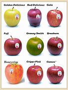 Image result for 2 Colour Apple's