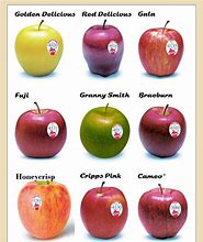 Image result for Apple Flavors and Types