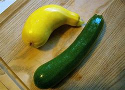 Image result for Different Types of Squash