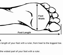 Image result for Foot Length