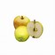 Image result for Apple Fruits 8