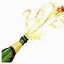 Image result for Spray with Champagne