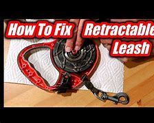 Image result for Inner Structure of Retractable Dog Leash