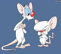 Image result for Pinky and Brain Pics