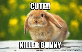 Image result for Killer Bunny Meme