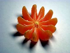 Image result for Fruit Trees Mandarin Orange