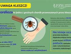 Image result for choroby_przenoszone_przez_kleszcze