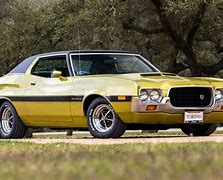 Image result for The New Ford Gran Torino