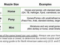 Image result for Horse Bit Size Chart