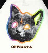 Image result for Odd Future Cat