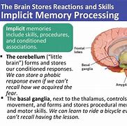 Image result for Memory Psychology