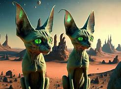 Image result for Alien Cat Planet