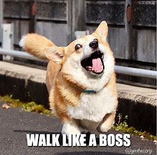Image result for Walk Like a Boss Meme