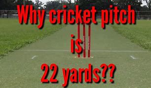 Image result for Cricket Pitch Lines