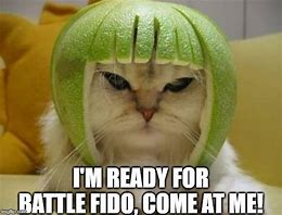 Image result for Cat Boss Fight Meme