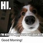 Image result for Happy Tuesday Memes Funny