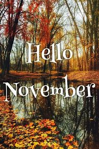 Image result for Funny Quotes About November