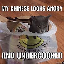 Image result for Angry Cat Meal Prep Meme