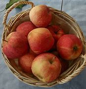 Image result for Gala Great Apple Treat