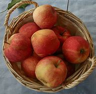 Image result for Green Gala Apples