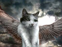 Image result for Cat in Angel Arms