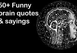 Image result for Funny Memes About Brain